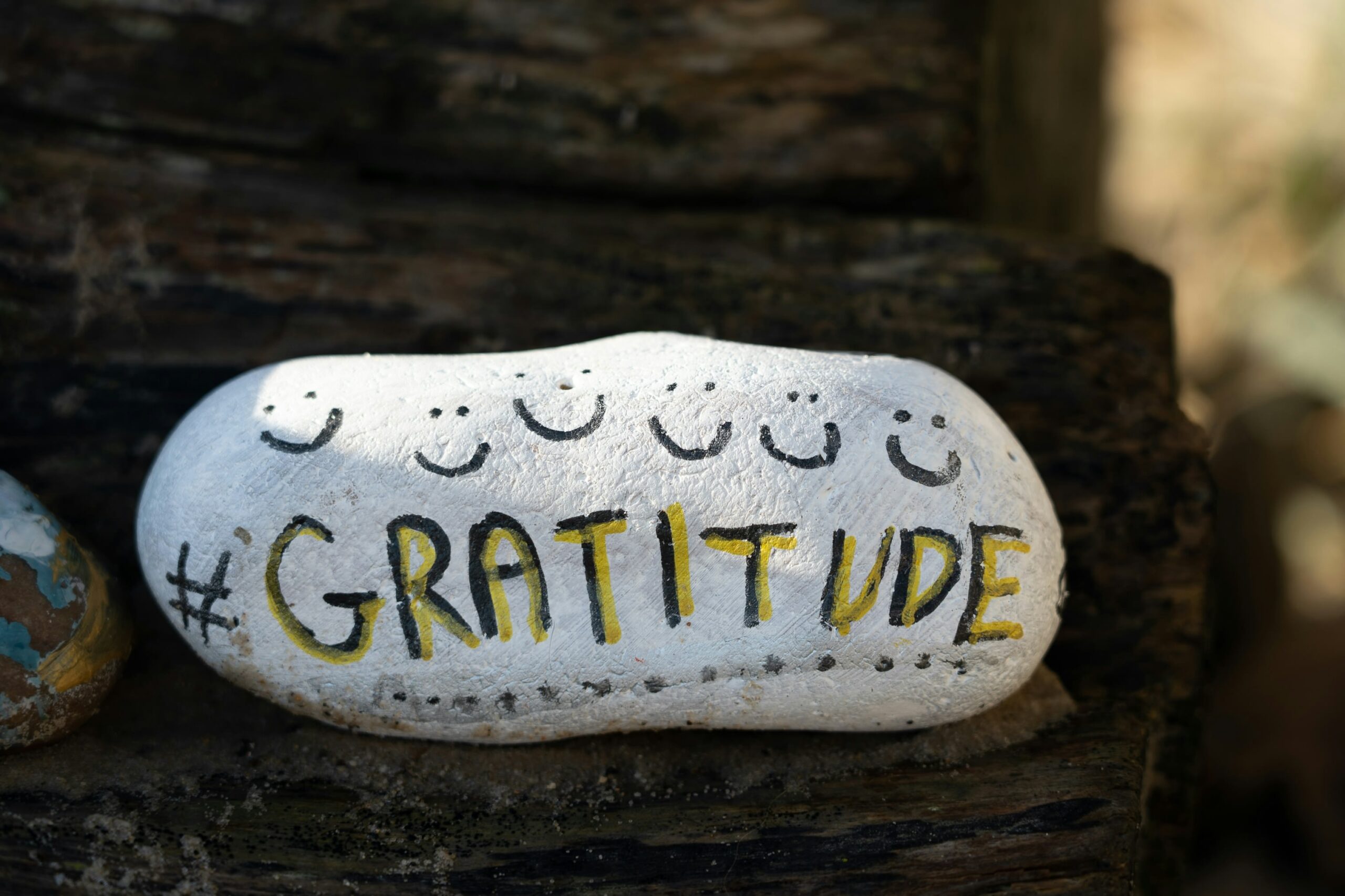 Gratitude pour l'année à venir